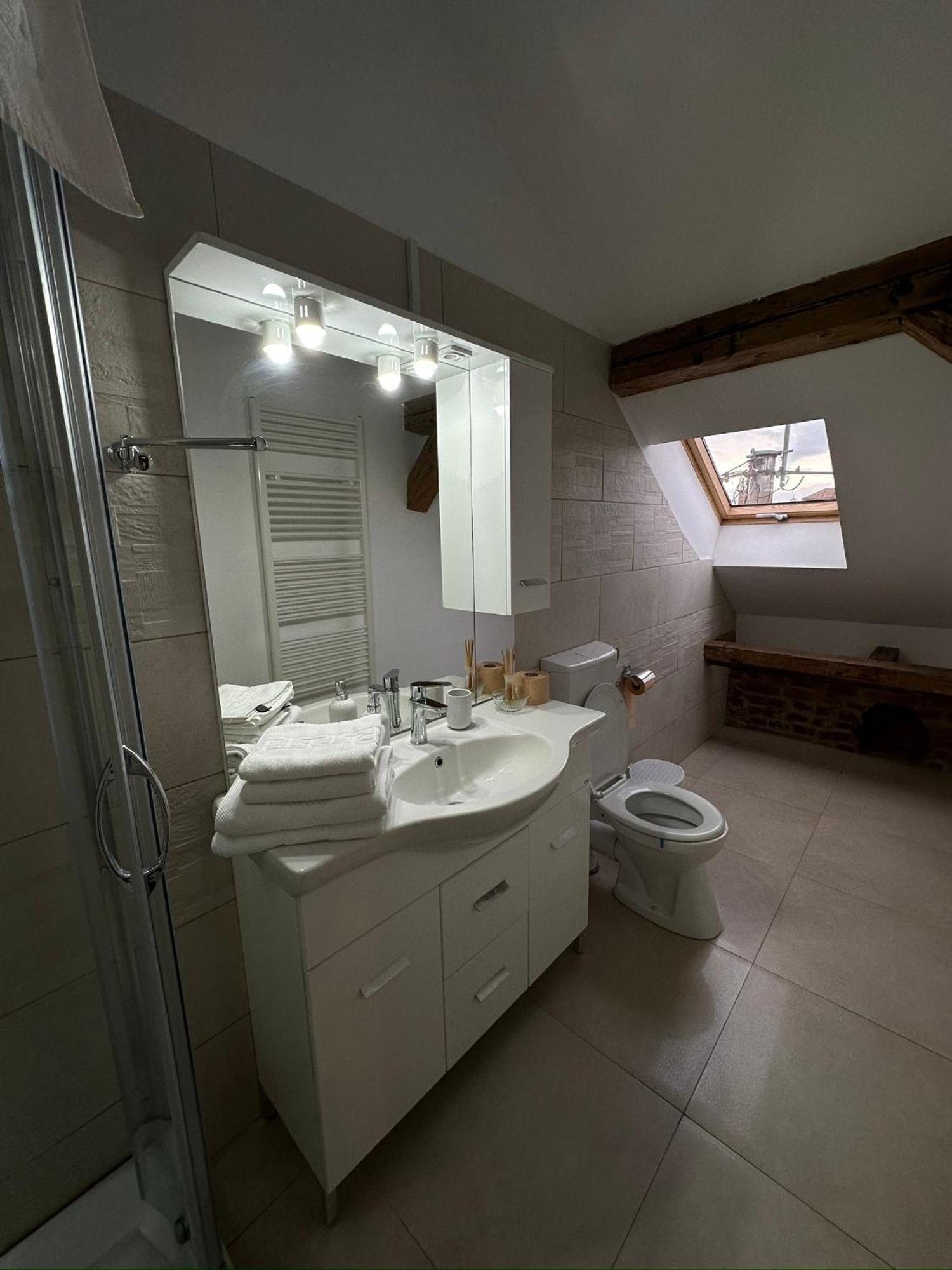 Antique Aparthotel Alba Iulia Buitenkant foto